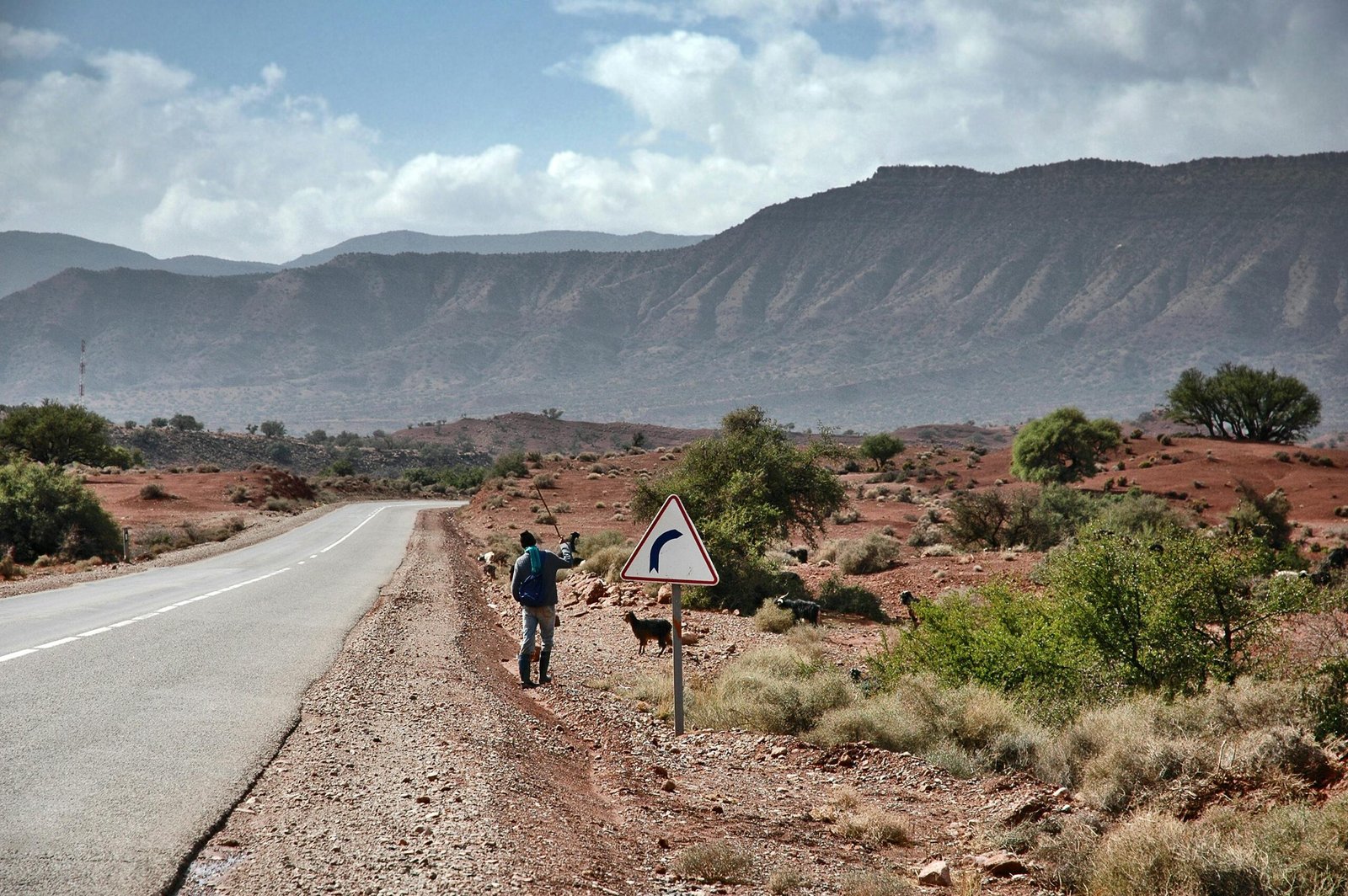 A shepherd with goats on a rural road near Agadir, Morocco, with scenic mountains.