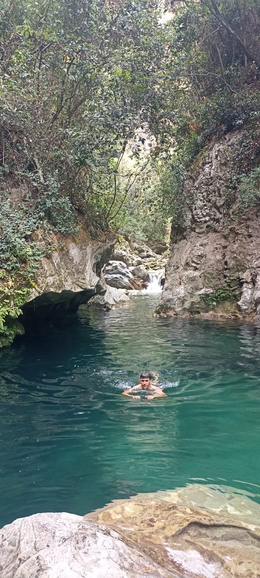 whatsapp image 2024 11 02 at 15.30.27